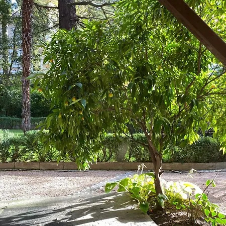 Cozy In A Historic Apartman