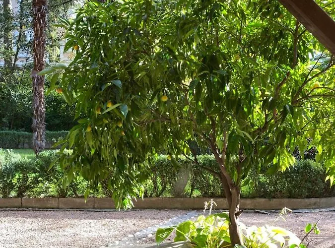 Cozy In A Historic 公寓